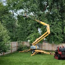 Best Tree Risk Assessment  in Vincent, CA