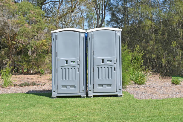 Best Grass Overseeding  in Vincent, CA